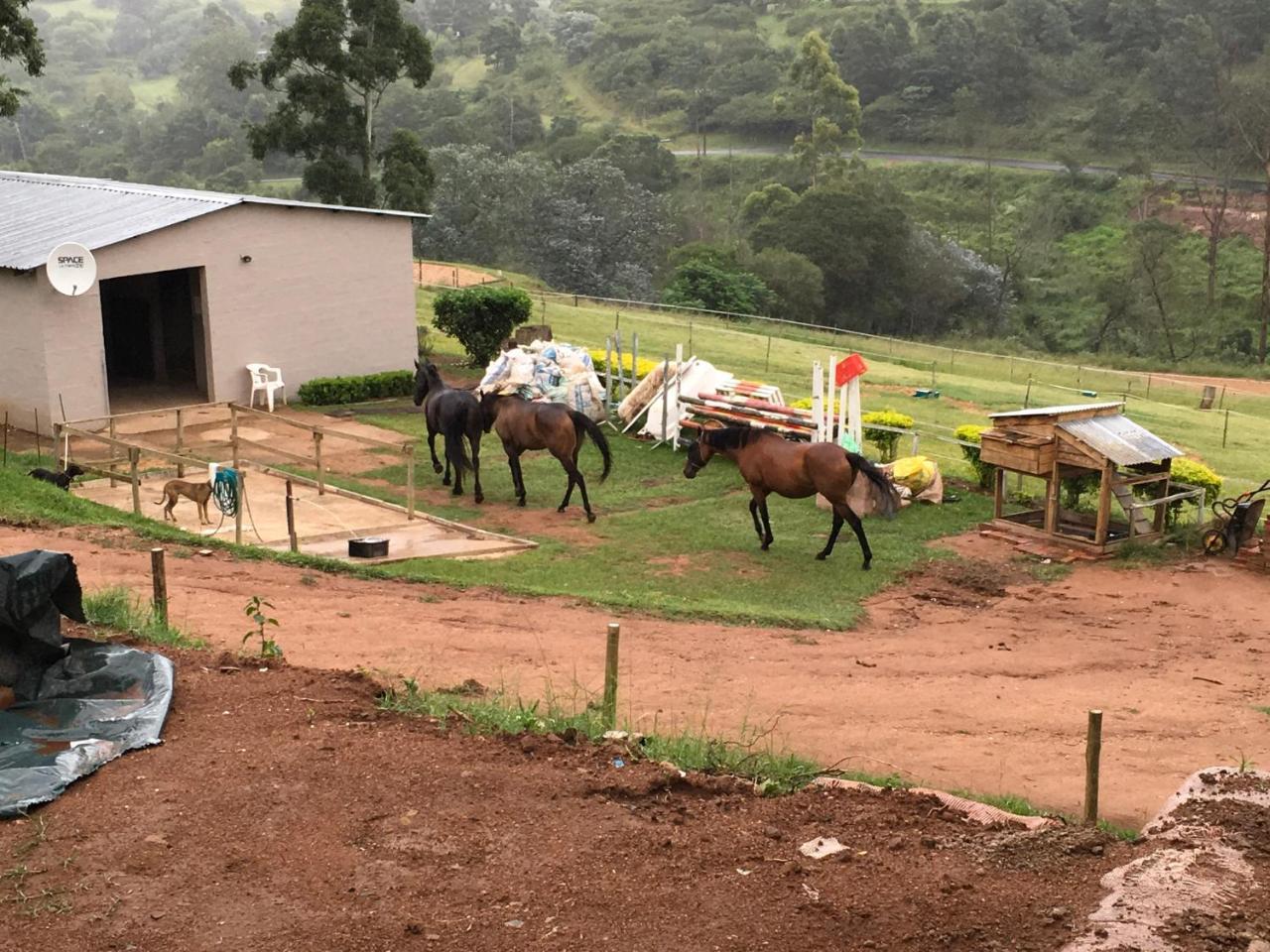 Cavalo Guesthouse&Equestrian Estate Drummond Exterior foto